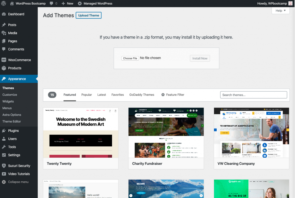 Install New WordPress Theme | AnitaM