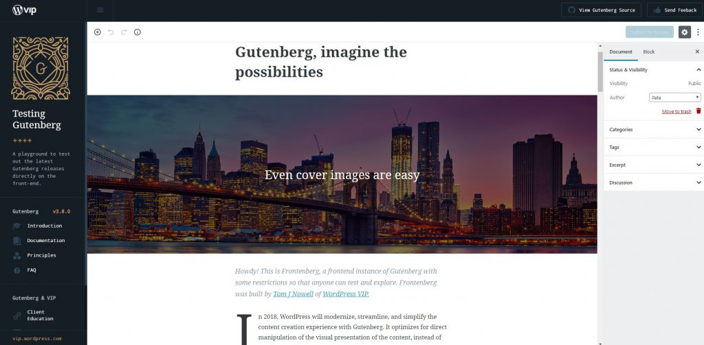 The Ultimate WordPress Gutenberg Guide | AnitaM