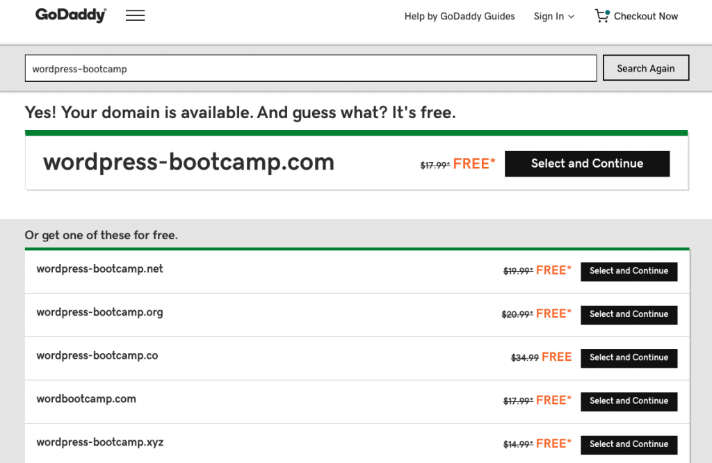Domain Selection GoDaddy | AnitaM