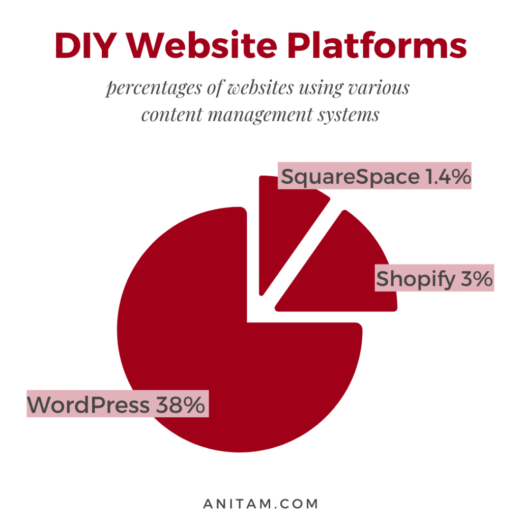 Tech Review: DIY Web Design Platforms | AnitaM